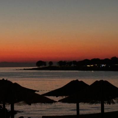 Whatsapp Bild 2024 08 25 Um 16.17.10 2d0ce7de