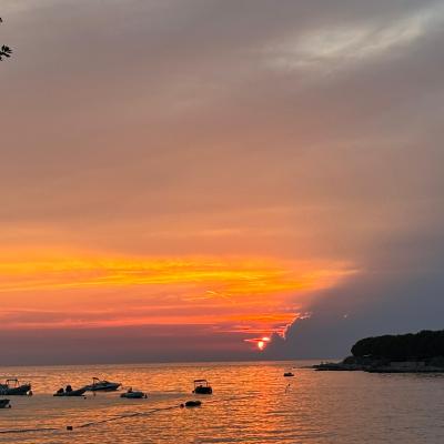 Whatsapp Bild 2024 08 25 Um 16.18.42 32419fa2