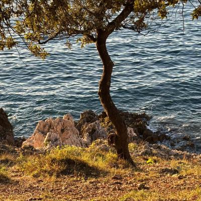 Whatsapp Bild 2025 09 11 Um 23.42.18 86633b2a