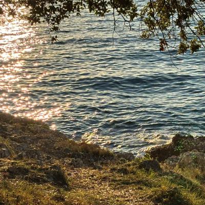 Whatsapp Bild 2025 09 11 Um 23.42.18 B515e359