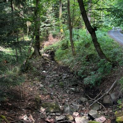 Whatsapp Bild 2025 06 03 Um 21.31.19 A7e4bd27